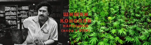 каннабис Белокуриха