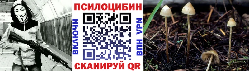 Галлюциногенные грибы Magic Shrooms  хочу   Пионерский 