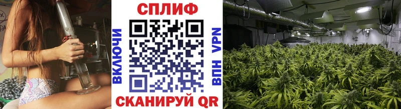 наркотики  Пионерский  МАРИХУАНА ГИДРОПОН 